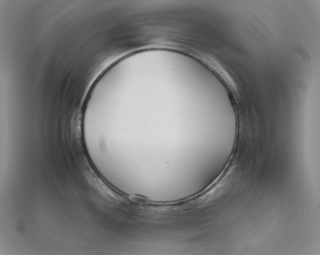 X0000112011292200908311127