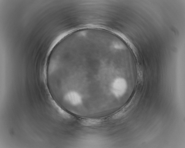 X0000112011294200908311127