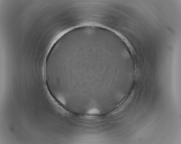 X0000112011295200908311127