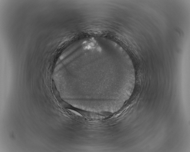 X0000112011297200908311126
