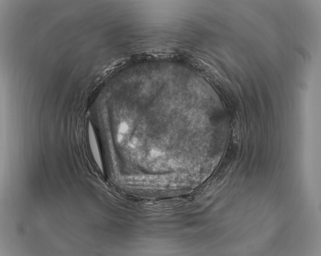 X0000112011298200908311126