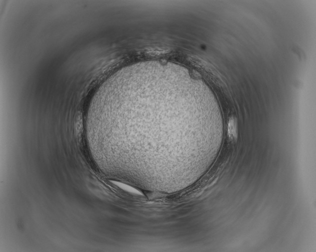 X0000112011299200908311126