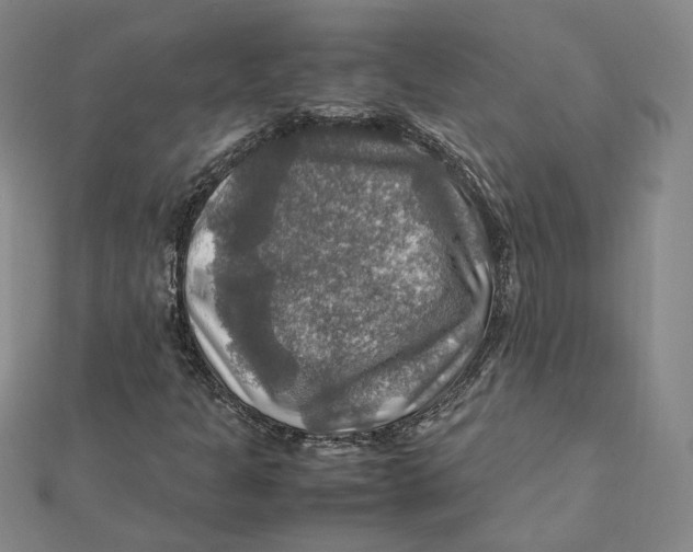 X0000112011301200908311126