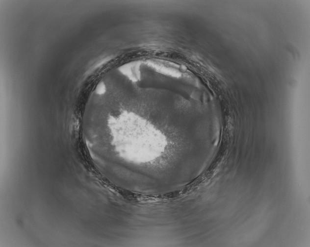 X0000112011302200908311126