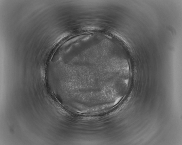 X0000112011305200908311126