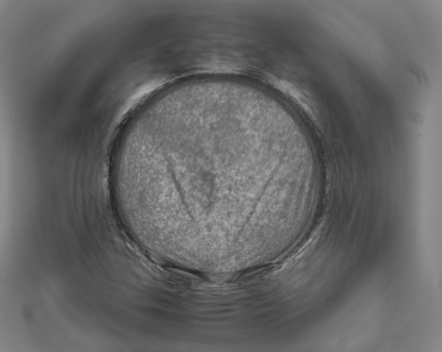 X0000112011307200908311126