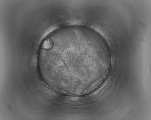 X0000112011309200908311126