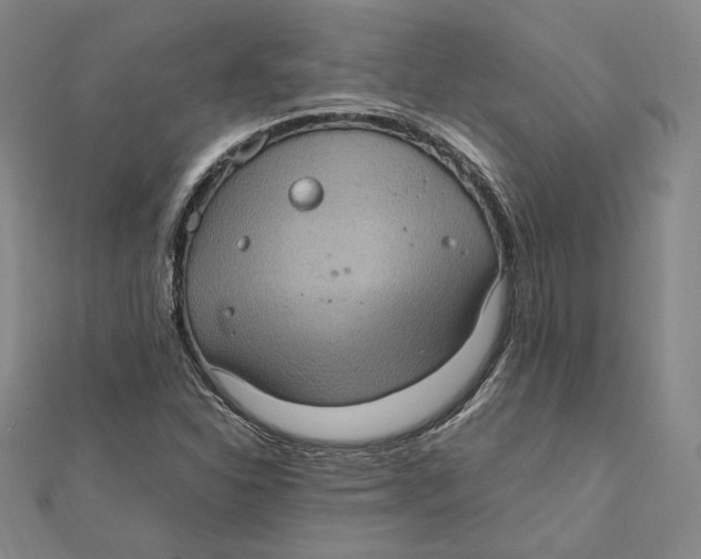 X0000112011310200908311126