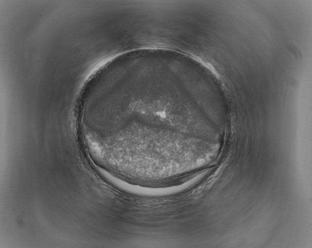 X0000112011311200908311126