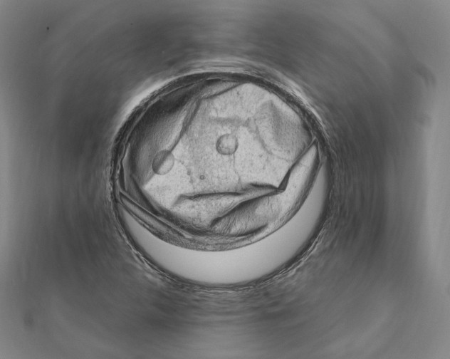 X0000112011312200908311126