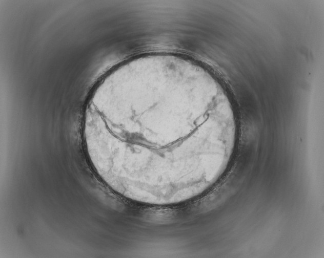 X0000112011314200908311126