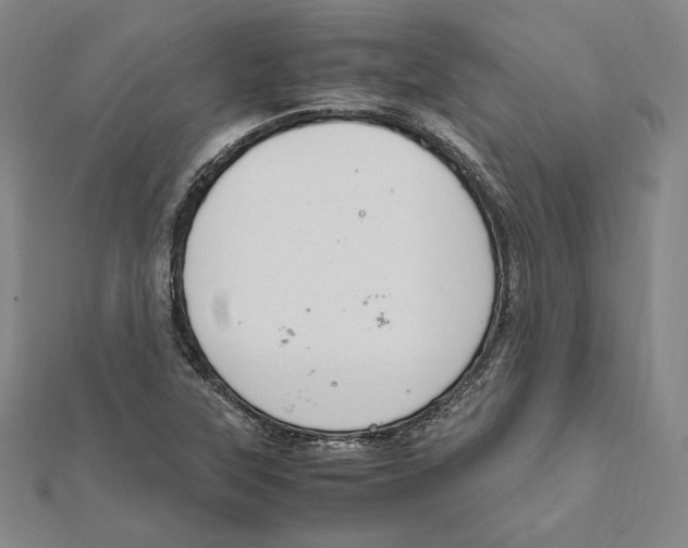 X0000112011315200908311126
