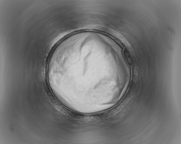 X0000112011316200908311126