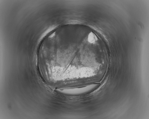 X0000112011317200908311126