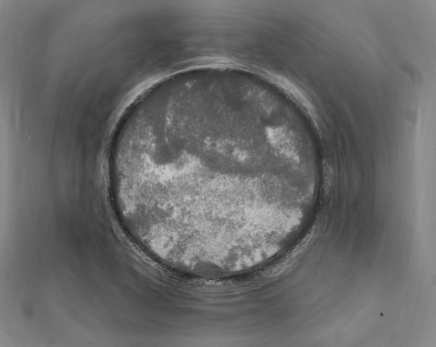 X0000112011318200908311126