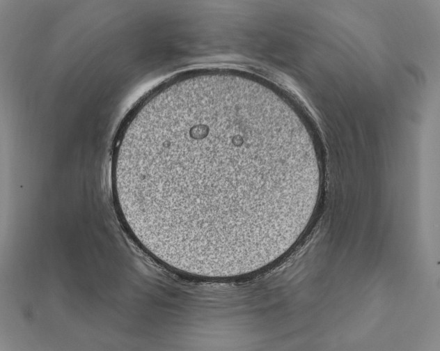 X0000112011320200908311126