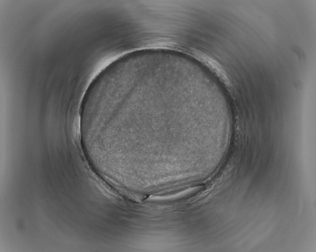 X0000112011324200908311126