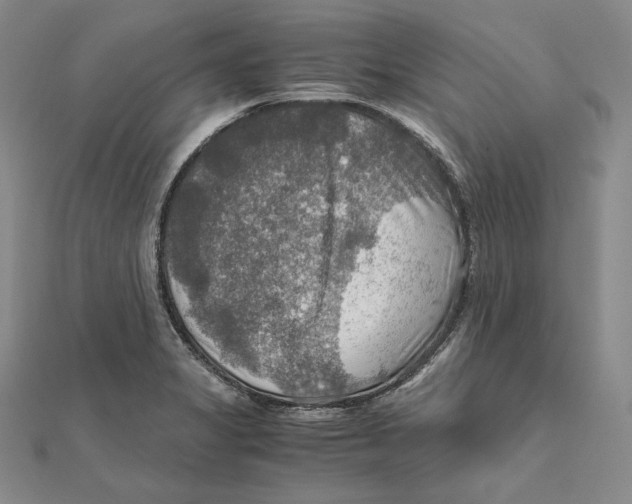 X0000112011325200908311126