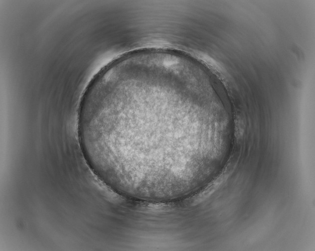 X0000112011326200908311126
