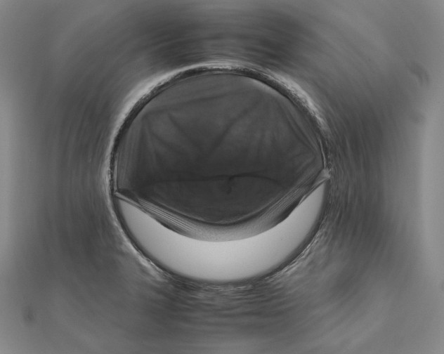 X0000112011327200908311126