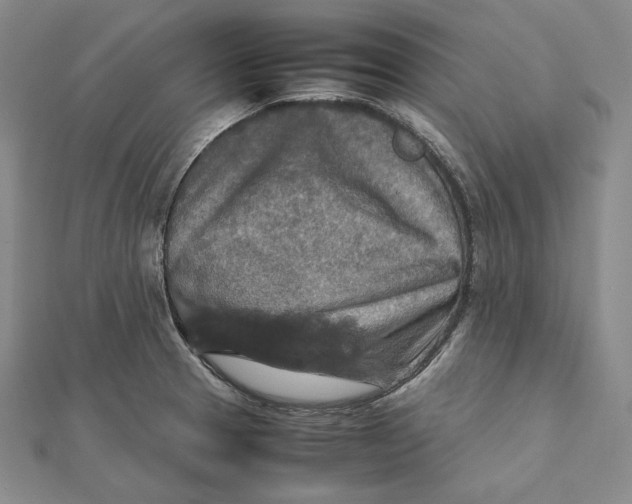 X0000112011329200908311126