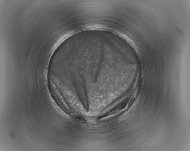X0000112011330200908311126