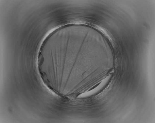 X0000112011331200908311126