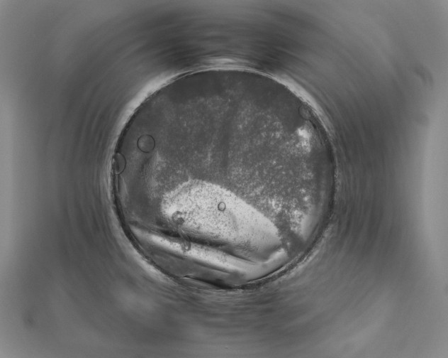 X0000112011333200908311127