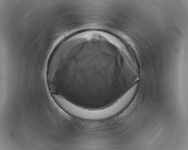 X0000112011334200908311127