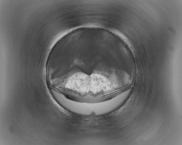 X0000112011335200908311127