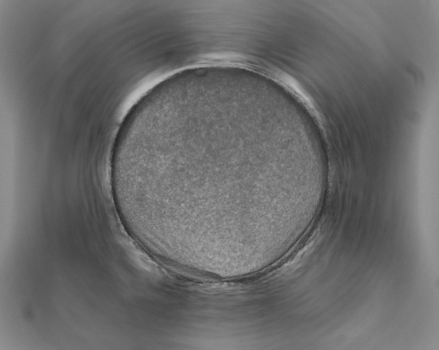 X0000112011336200908311127