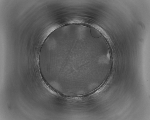 X0000112011337200908311127
