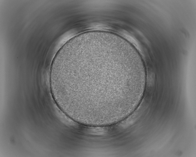 X0000112011338200908311127