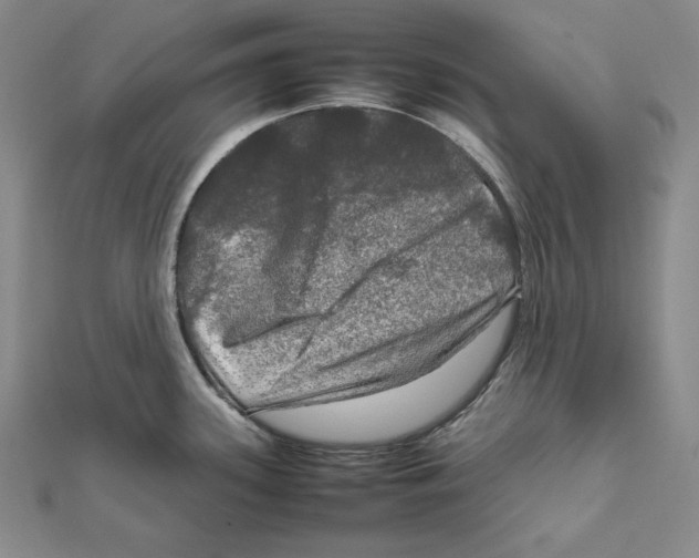 X0000112011339200908311127