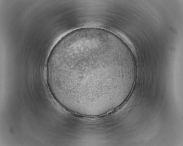 X0000112011340200908311127