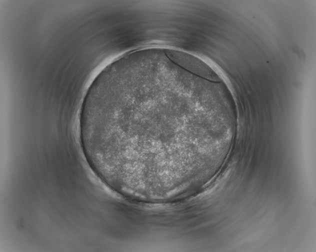 X0000112011341200908311127
