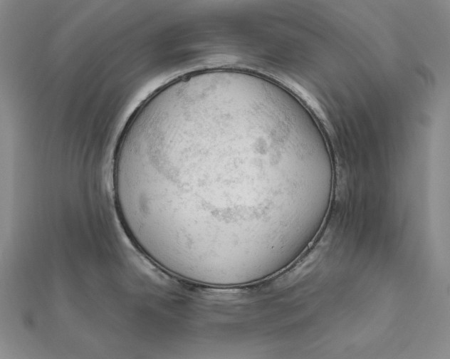 X0000112011342200908311127