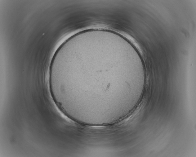 X0000112011343200908311127