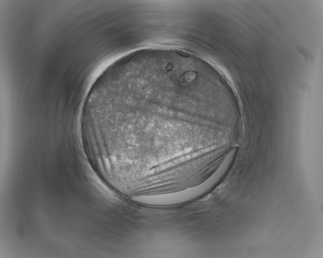 X0000112011344200908311127