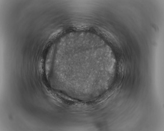 X0000112011346200908311126