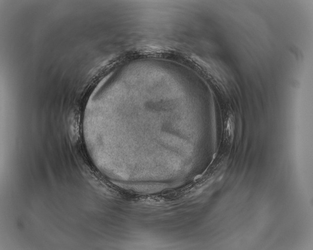 X0000112011348200908311126
