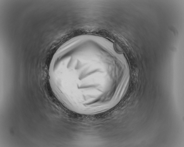 X0000112011349200908311126