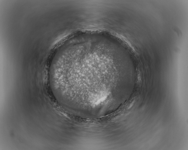 X0000112011350200908311126