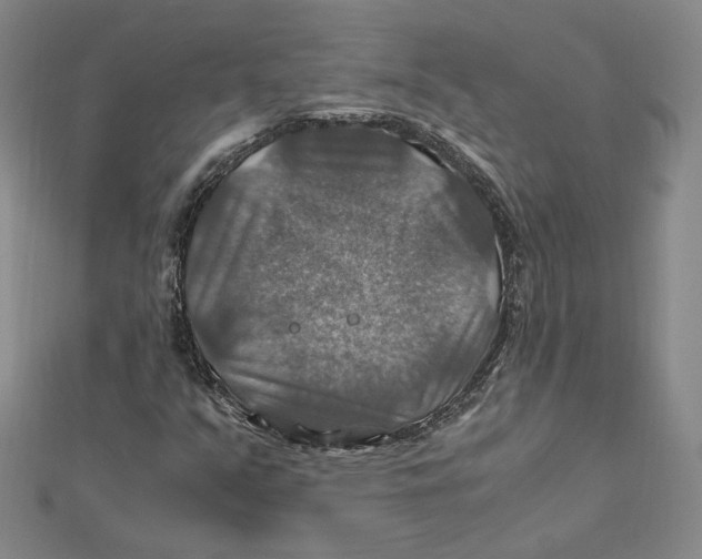 X0000112011351200908311126