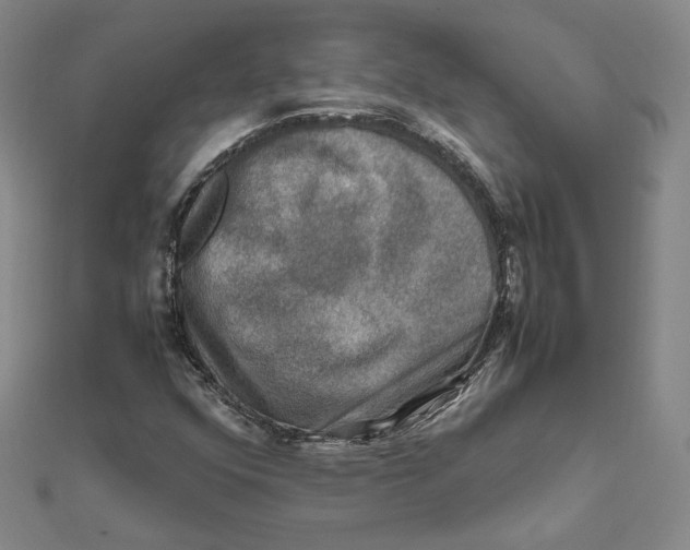 X0000112011352200908311126