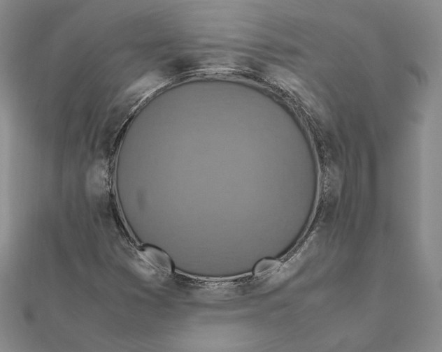 X0000112011353200908311126