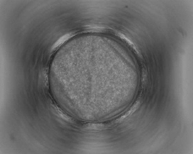 X0000112011354200908311126