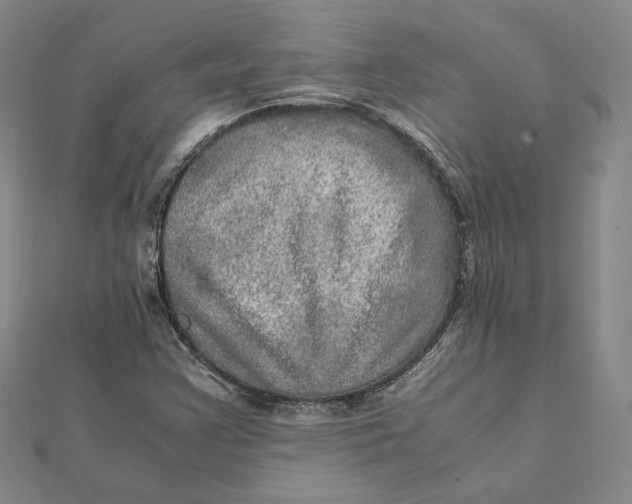 X0000112011355200908311126