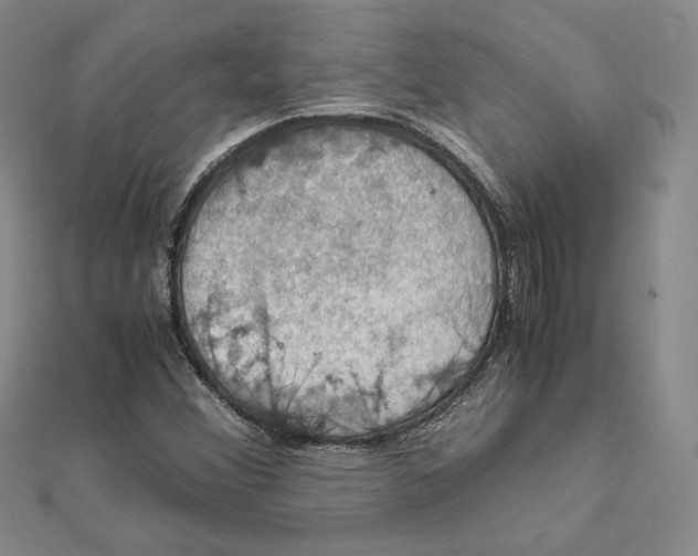 X0000112011356200908311126
