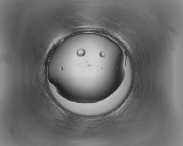 X0000112011357200908311126